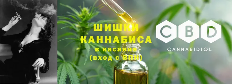 продажа наркотиков  Кораблино  Конопля сатива 